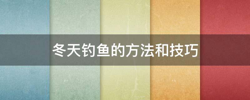 冬天钓鱼的方法和技巧（冬天钓鱼技巧大全入门）