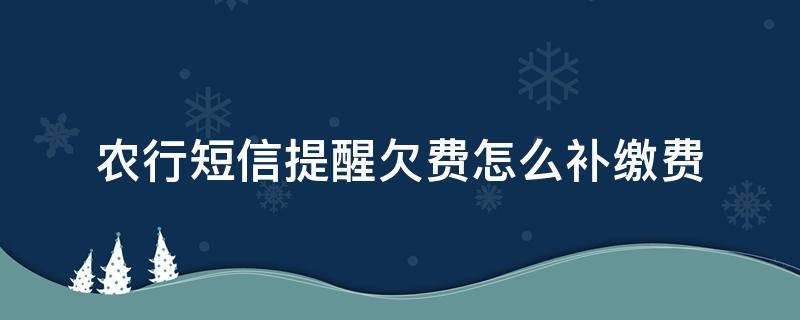 农行短信提醒欠费怎么补缴费（农行短信提醒欠费怎么补缴费不知道k令是什么）