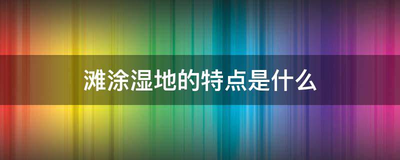 滩涂湿地的特点是什么 下列不属于滩涂湿地的特点是什么