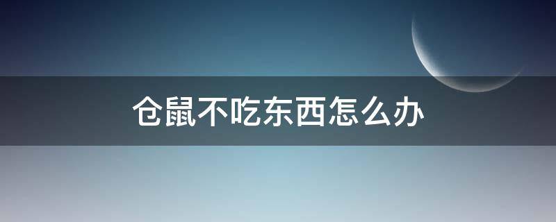 仓鼠不吃东西怎么办（夏天仓鼠不吃东西怎么办）