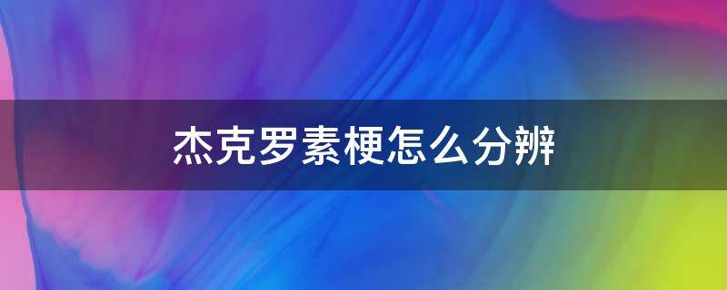 杰克罗素梗怎么分辨 杰克罗素梗怎么分辨碎毛