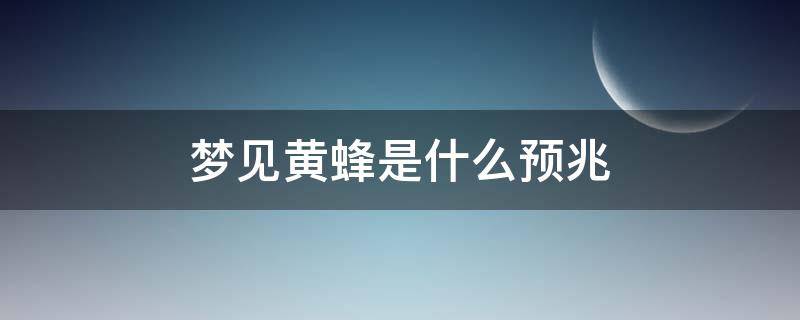 梦见黄蜂是什么预兆 孕妇梦见黄蜂是什么预兆