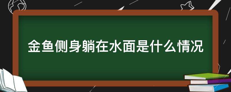 金鱼侧身躺在水面是什么情况 金鱼侧身躺在水底是什么情况