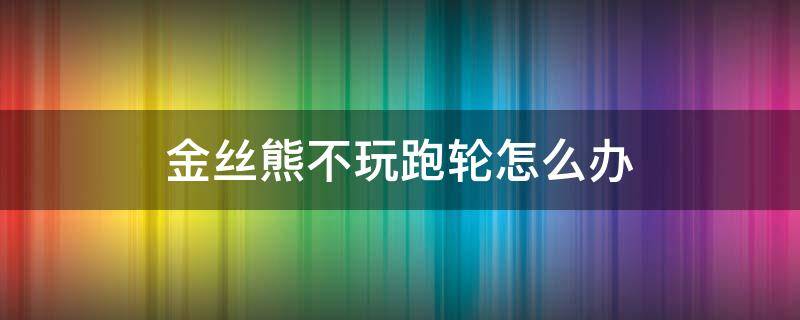 金丝熊不玩跑轮怎么办（金丝熊不跑跑轮可以吗）