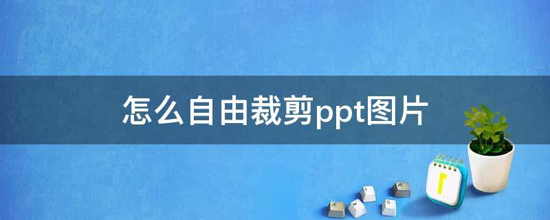 怎么自由裁剪ppt图片 ppt如何自由裁剪