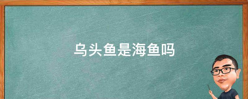 乌头鱼是海鱼吗 乌头鱼是什么鱼?