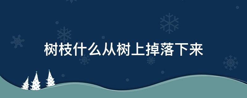 树枝什么从树上掉落下来 树枝什么从树上掉落下来填拟声词