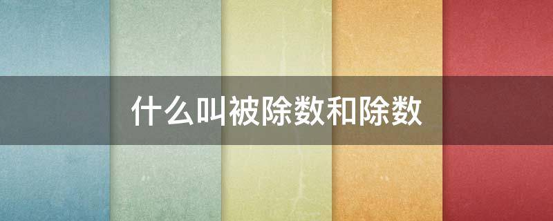 什么叫被除数和除数 什么叫被除数和除数扩大100倍讲解