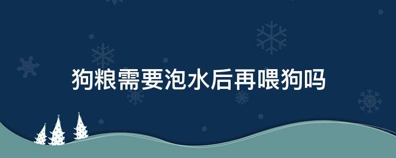 狗粮需要泡水后再喂狗吗（泡狗粮还要喂水吗）