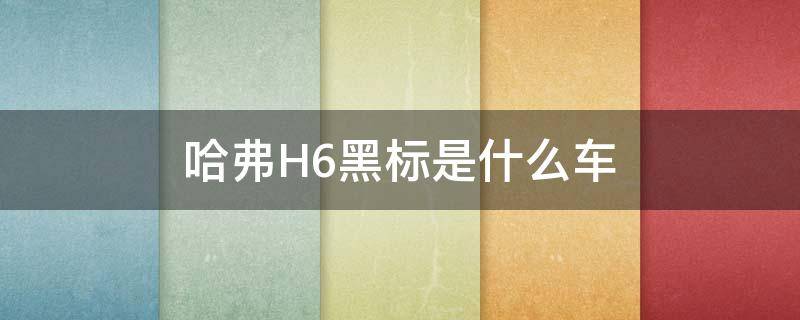 哈弗H6黑标是什么车 哈佛h6有黑标的车吗