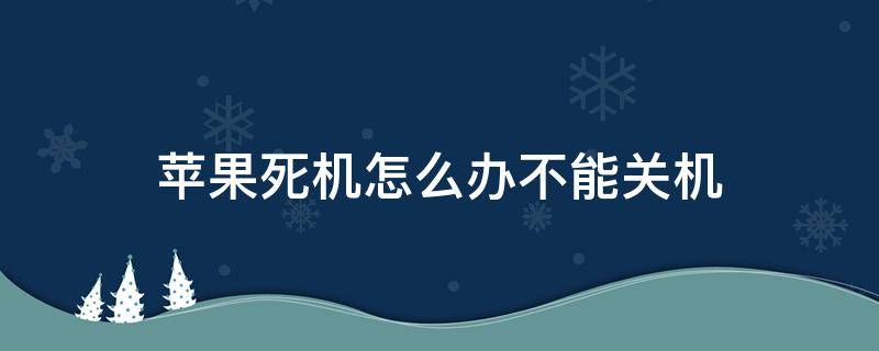 苹果死机怎么办不能关机（苹果手机死机,不能关机）