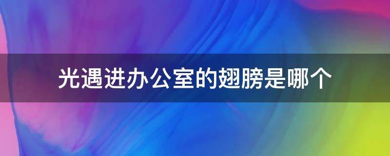 光遇进办公室的翅膀是哪个（光遇办公室有几个光翼）