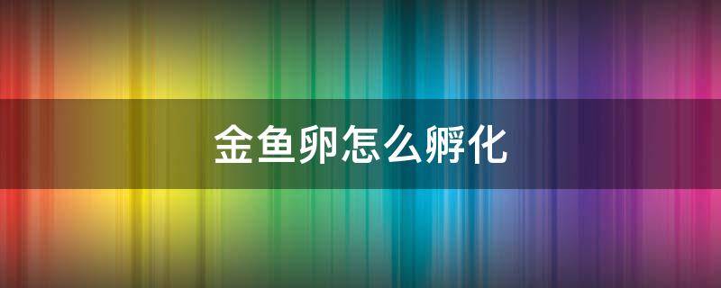 金鱼卵怎么孵化 金鱼卵怎么孵化注意事项