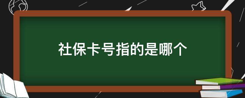 社保卡号指的是哪个 社保卡号指的是哪个图解