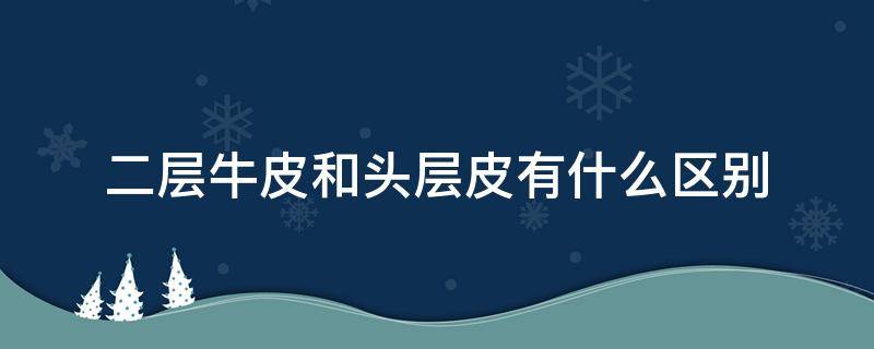 二层牛皮和头层皮有什么区别 牛头层皮和二层皮的区别