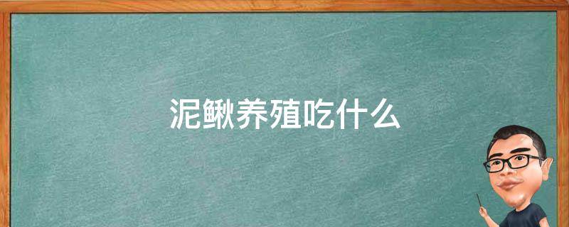 泥鳅养殖吃什么 泥鳅养殖吃什么药长的快