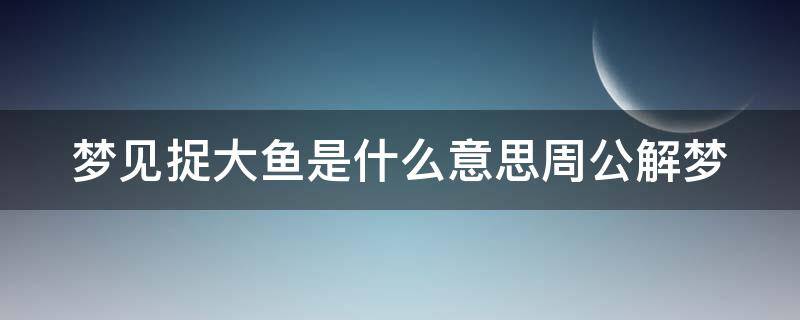 梦见捉大鱼是什么意思周公解梦（梦见捉大鱼是什么意思周公解梦）