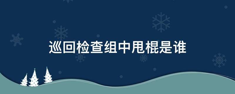 巡回检查组中甩棍是谁 巡回检查组甩棍是谁?