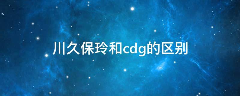 川久保玲和cdg的区别（川久保玲是CdG还是CDG）