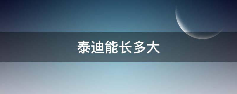 泰迪能长多大（泰迪能长多大多少斤）