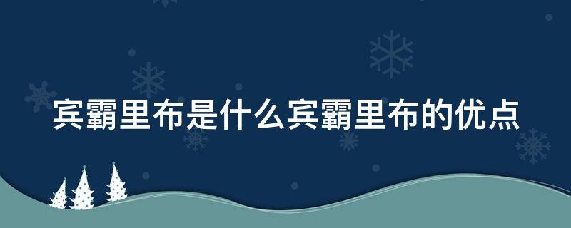 宾霸里布是什么宾霸里布的优点 宾霸里布的缺点