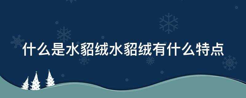 什么是水貂绒水貂绒有什么特点（何为水貂绒）