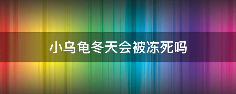 小乌龟冬天会被冻死吗（寒冷的冬天乌龟会冻死吗）