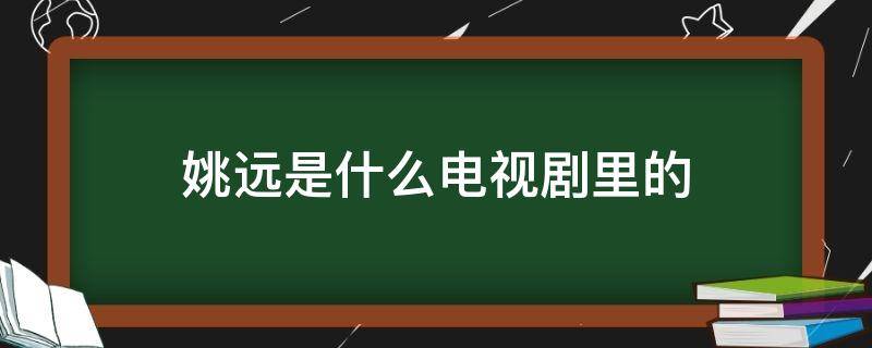 姚远是什么电视剧里的 我要看姚远演的电视剧