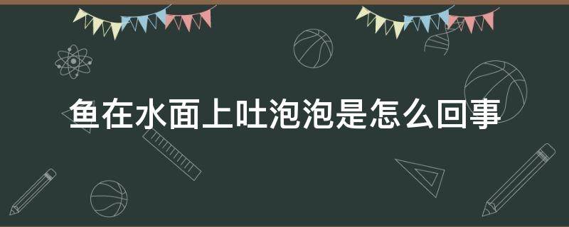 鱼在水面上吐泡泡是怎么回事 鱼在水面上吐泡泡是什么意思