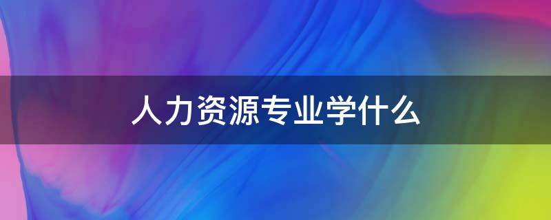 人力资源专业学什么 人力资源专业学什么课程