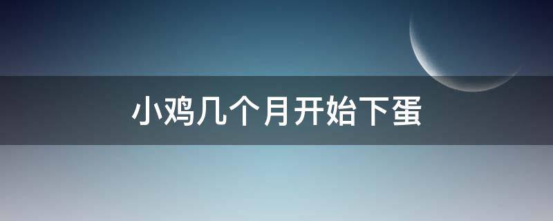 小鸡几个月开始下蛋（小鸡几个月开始下蛋,后来不下蛋了）