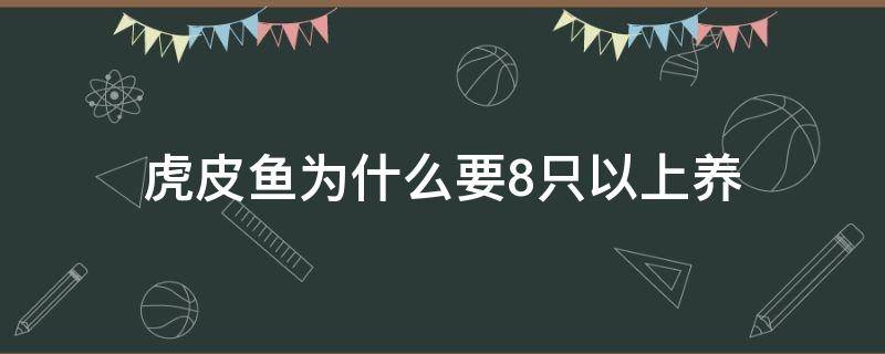 虎皮鱼为什么要8只以上养（虎皮鱼可以单只养吗）