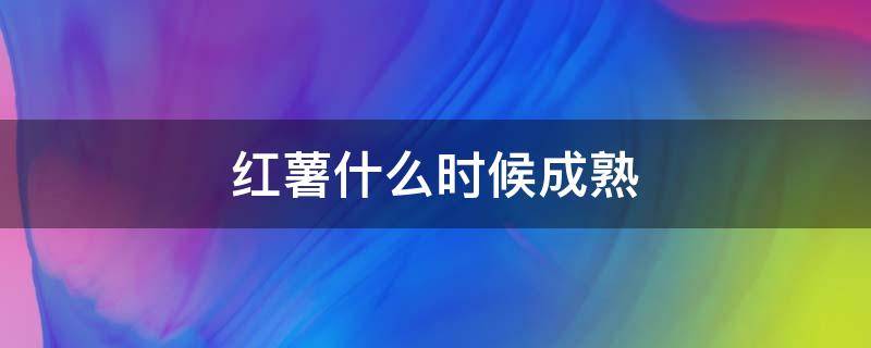 红薯什么时候成熟（南方红薯什么时候成熟）