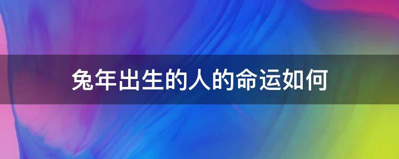 兔年出生的人的命运如何 兔年出生的人性格命运