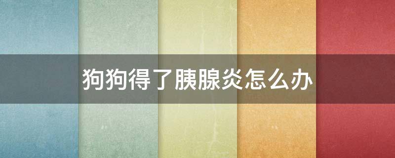 狗狗得了胰腺炎怎么办（狗狗得了胰腺炎怎么办吃什么药好得快些）