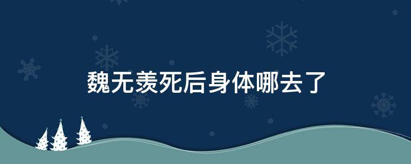 魏无羡死后身体哪去了 魏无羡死后随便在哪