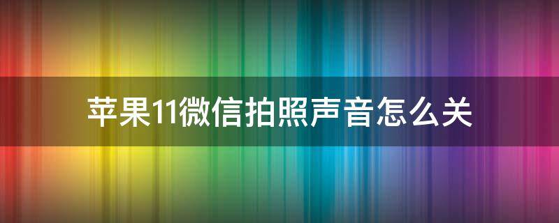 苹果11微信拍照声音怎么关 苹果11手机微信拍照声音怎么关闭