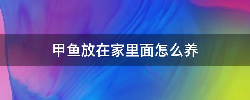 甲鱼放在家里面怎么养（甲鱼临时放在家里面怎么养）