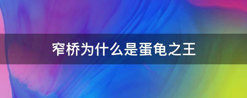 窄桥为什么是蛋龟之王 窄桥龟为什么是蛋龟之王