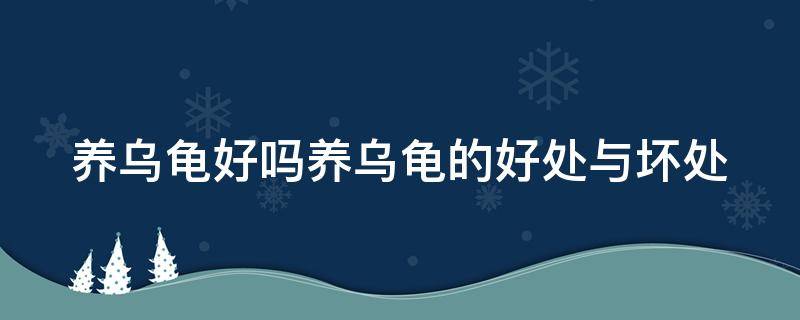 养乌龟好吗养乌龟的好处与坏处 养乌龟的利与弊