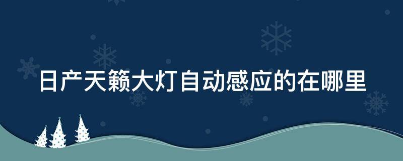 日产天籁大灯自动感应的在哪里 日产天籁灯光自动感应怎么调