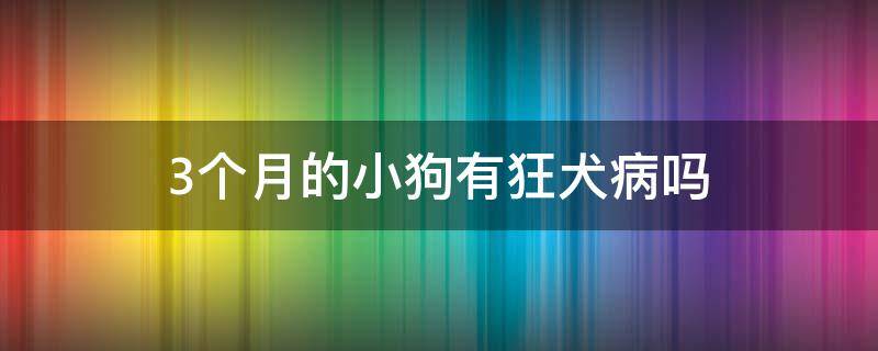 3个月的小狗有狂犬病吗（3个月的小狗有没有狂犬病）