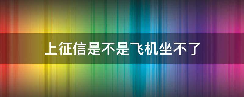 上征信是不是飞机坐不了（上征信不能坐飞机吗?）