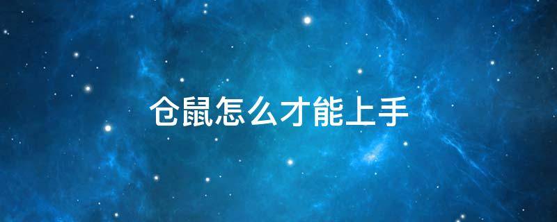 仓鼠怎么才能上手 仓鼠可以直接上手吗