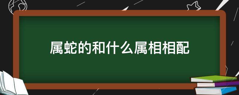 属蛇的和什么属相相配 属蛇的和哪个属相配