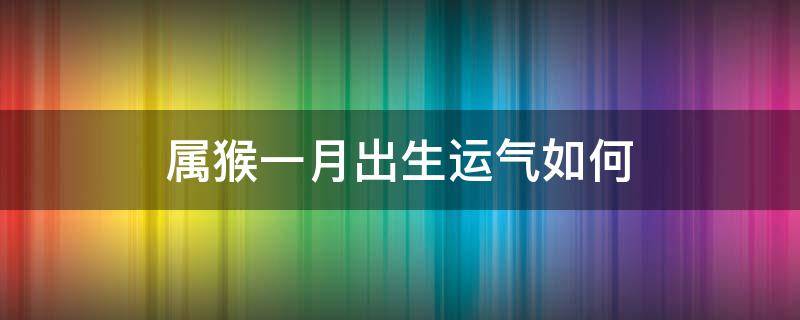 属猴一月出生运气如何（1月属猴的人命运如何）