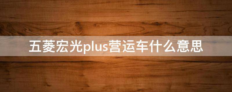 五菱宏光plus营运车什么意思（五菱宏光plus是什么车）