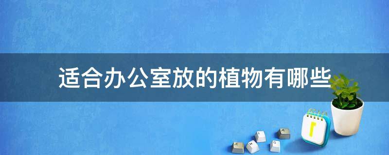 适合办公室放的植物有哪些 办公室里面适合放什么植物?