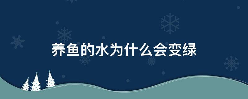 养鱼的水为什么会变绿 变绿的水能养鱼吗