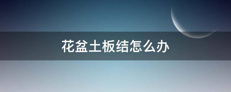 花盆土板结怎么办 花盆土板结怎么办有什么方法解决